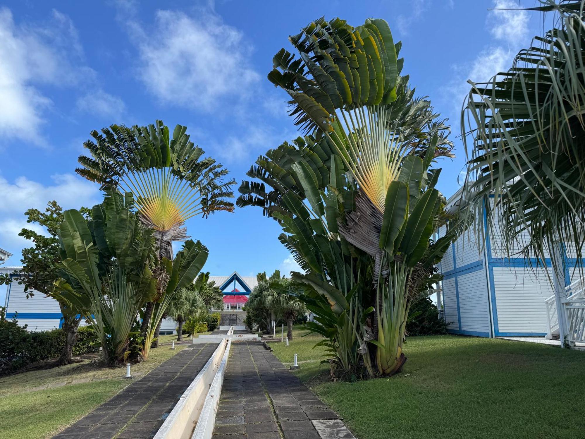 Ticarbets T3 - Residence Manganao - En Bord De Plage Saint-Francois  Exterior foto